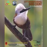 15-16 नवम्बर 2025 को आयोजित होगा दूसरा उत्तराखण्ड बर्ड काउंट