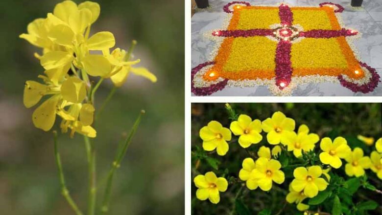 पहाड़ों में प्रकृति, परम्परा, पवित्रता का पर्व- बसंत पंचमी