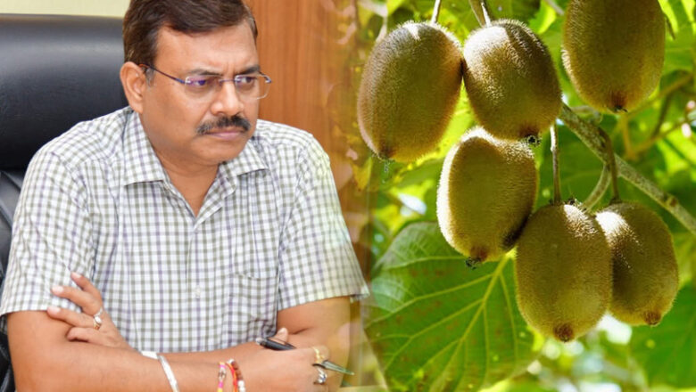 ड्रैगन फ्रूट, कीवी और अति सघन सेब बागवानी से उत्तराखंड बनेगा ‘फल पट्टी’, 10 क्लस्टर विकास पर जोर