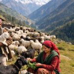  भेड़-बकरी पालन से आत्मनिर्भर बन रहे पहाड़ के गांव, महिलाओं की बढ़ी भागीदारी