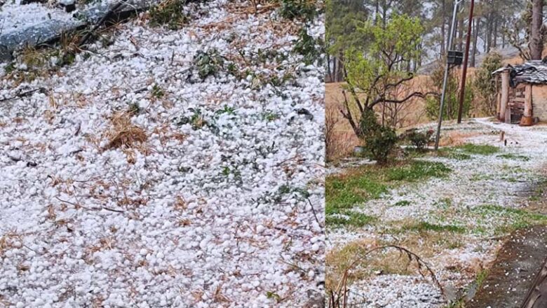 ओलावृष्टि से उत्तरकाशी की यमुना घाटी में फसलों को भारी नुकसान, गंगोत्री-हर्षिल में बर्फबारी