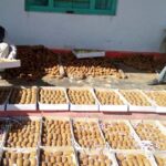 बागेश्वर में रिवर्स माइग्रेशन की मिसाल: आधुनिक कृषि और कीवी खेती से पलायन पर लगाम, बढ़ी किसानों की आय