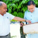 मुख्यमंत्री पुष्कर सिंह धामी का बड़ा फोकस: 45 दिन में 520 किलो शहद उत्पादन, उत्तराखंड में मधुमक्खी पालन को बढ़ावा