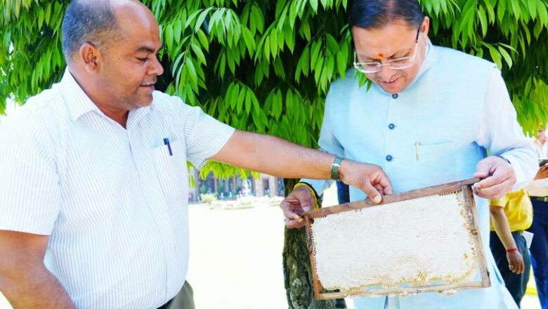 मुख्यमंत्री पुष्कर सिंह धामी का बड़ा फोकस: 45 दिन में 520 किलो शहद उत्पादन, उत्तराखंड में मधुमक्खी पालन को बढ़ावा