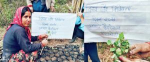 World Biodiversity Day