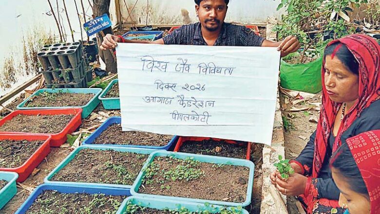 दारु हल्दी को बचाने की मुहिम: 5000 किल्मोड़ पौधों के संरक्षण का संकल्प