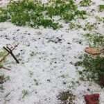 यमुनाघाटी में भारी ओलावृष्टि से फसलें तबाह, खरादी–गगटाड़ी के किसानों पर टूटा संकट, मुआवजे की मांग तेज