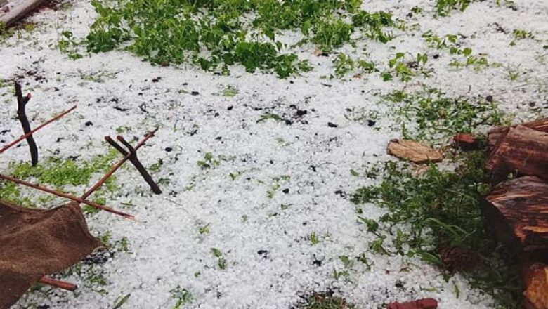 यमुनाघाटी में भारी ओलावृष्टि से फसलें तबाह, खरादी–गगटाड़ी के किसानों पर टूटा संकट, मुआवजे की मांग तेज