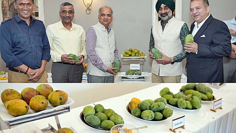 मैंगो फेस्टिवल: ब्रह्मोस के नाम से मशहूर हुआ आम!