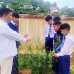 पार्थेनियम (Parthenium hysterophorus): एक खतरनाक आक्रामक खरपतवार तथा इसके संभावित लाभकारी पक्ष