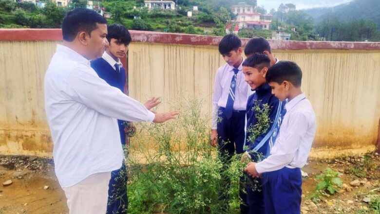 पार्थेनियम (Parthenium hysterophorus): एक खतरनाक आक्रामक खरपतवार तथा इसके संभावित लाभकारी पक्ष