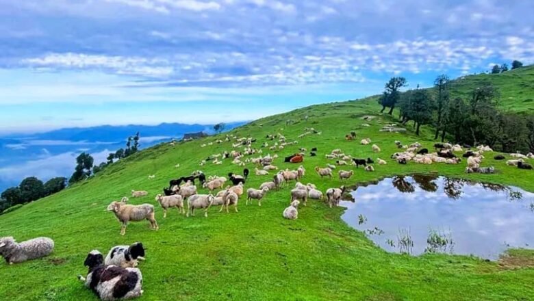 उत्तरकाशी: रूपनौल सौड़ बुग्याल में पहली बार मनेगा बटर फेस्टिवल
