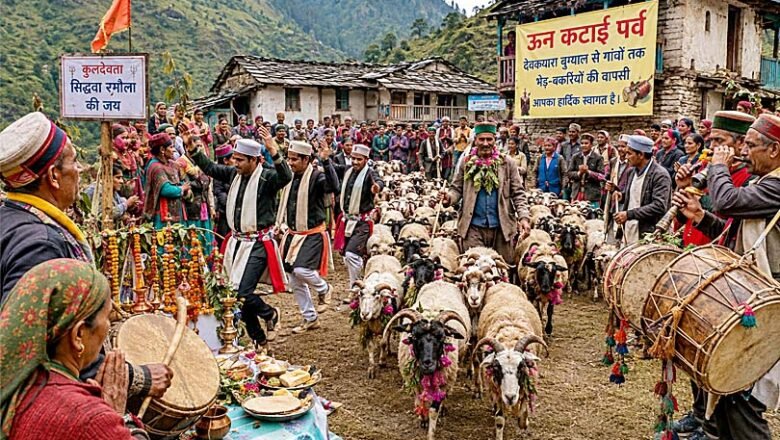 ऊन कटाई पर्व: देवक्यारा बुग्याल से लौटीं भेड़-बकरियां, ढोल-दमाऊं और तांदी नृत्य से जीवंत हुई लोक संस्कृति