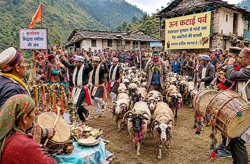 Wool-shearing festival in Mori, Uttarkashi