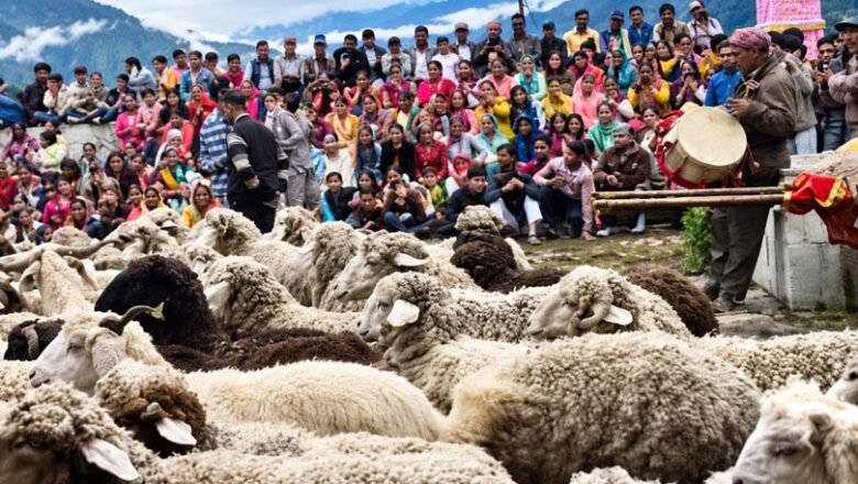 बौल्याधार में गूंजा लोक संस्कृति का रंग, देव डोलियों के सानिध्य में थिरके कदम