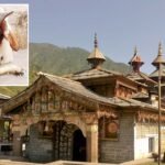 हनोल: बकरा चढ़ाने की परंपरा खत्म; जटा नारियल होगा अर्पित